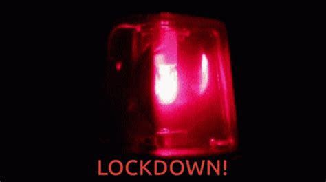 lockdown gif|More.